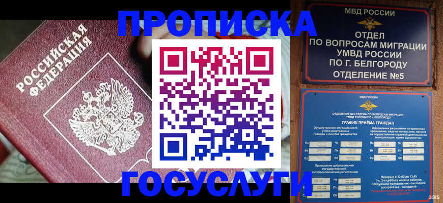 прописка гарантия в Старом Осколе